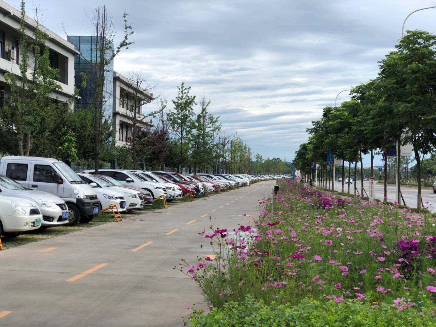 微信图片_20190629134822.jpg